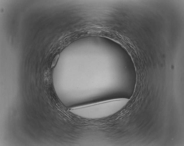 X0000084011445200702160813