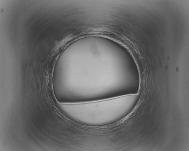 X0000084011449200702160813
