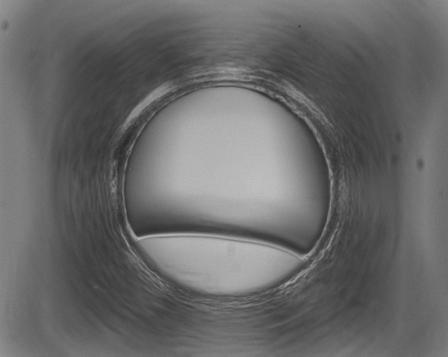 X0000084011450200702160813