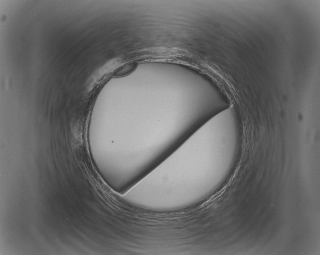 X0000084011451200702160813