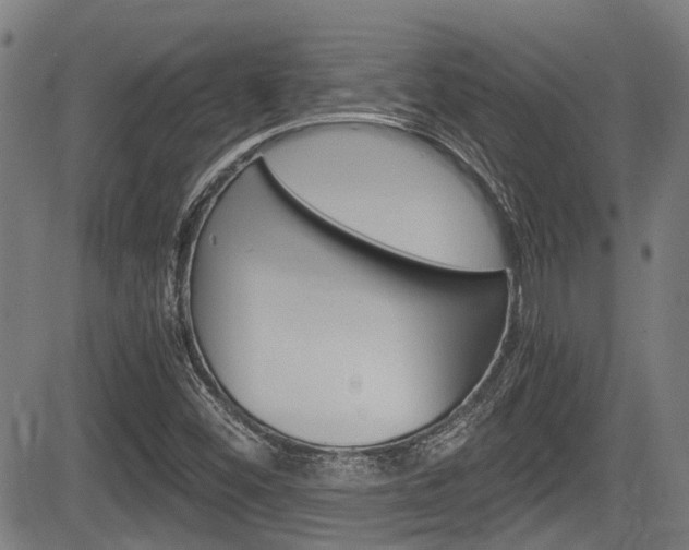 X0000084011452200702160813