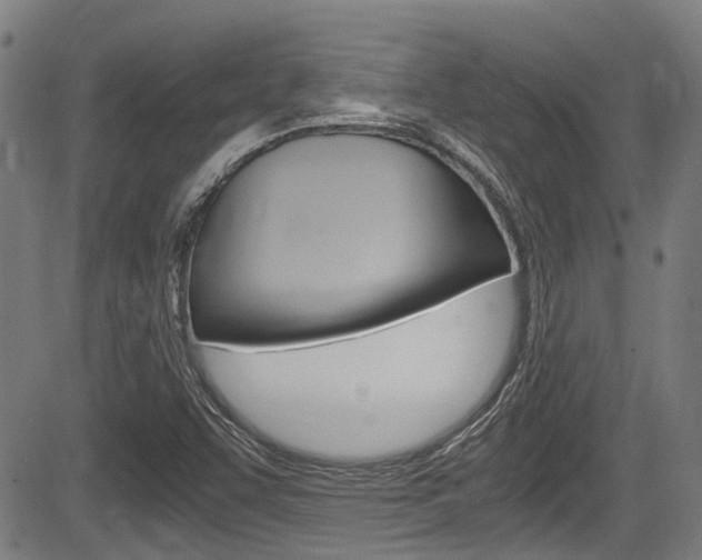X0000084011455200702160813