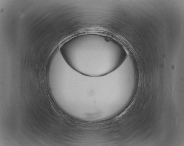 X0000084011457200702160813