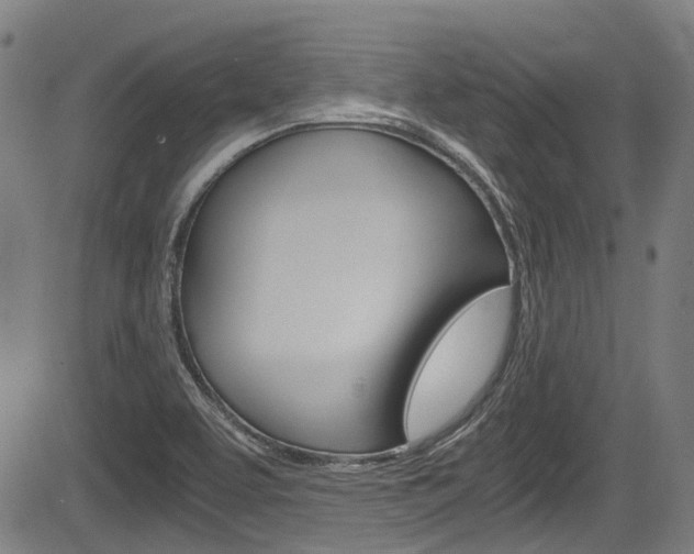 X0000084011463200702160813