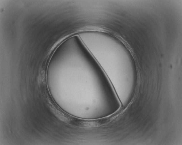 X0000084011465200702160813