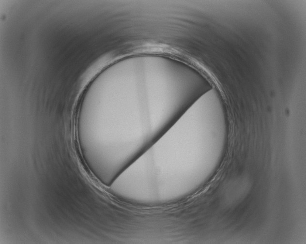X0000084011467200702160813