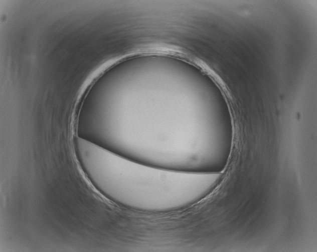 X0000084011477200702160812