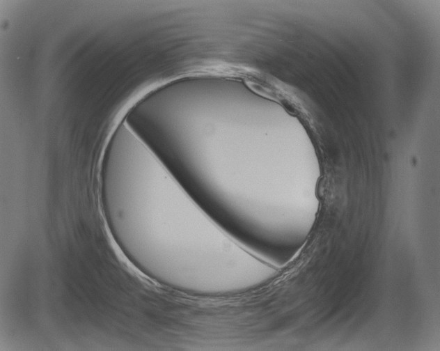 X0000084011479200702160812