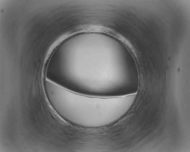 X0000084011480200702160812