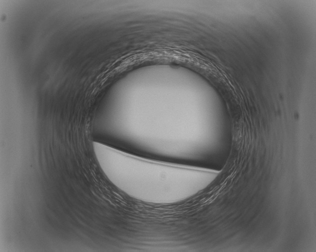 X0000084011490200702160812
