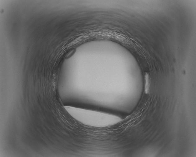 X0000084011491200702160812