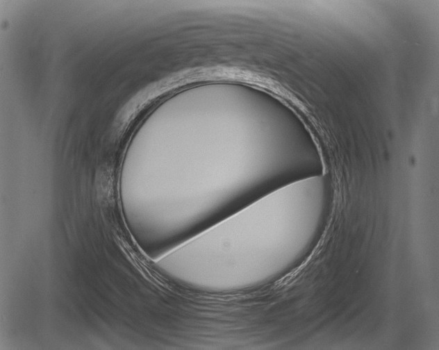 X0000084011499200702160812