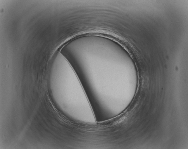 X0000084011505200702160812