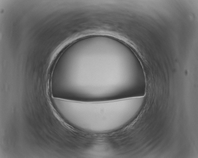 X0000084011511200702160812