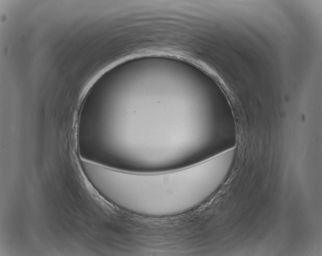 X0000084011524200702160812
