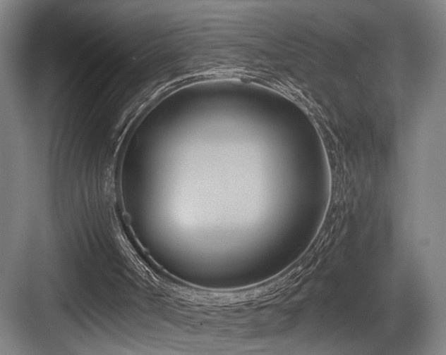 X0000084010002200702161214