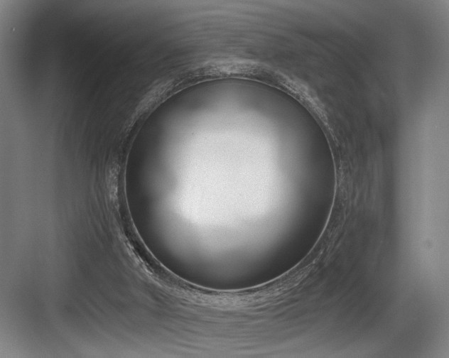 X0000084010010200702161213