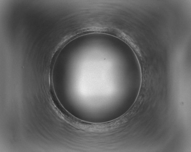 X0000084010011200702161213