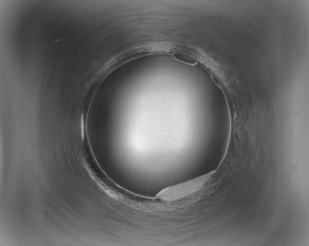 X0000084010013200702161213