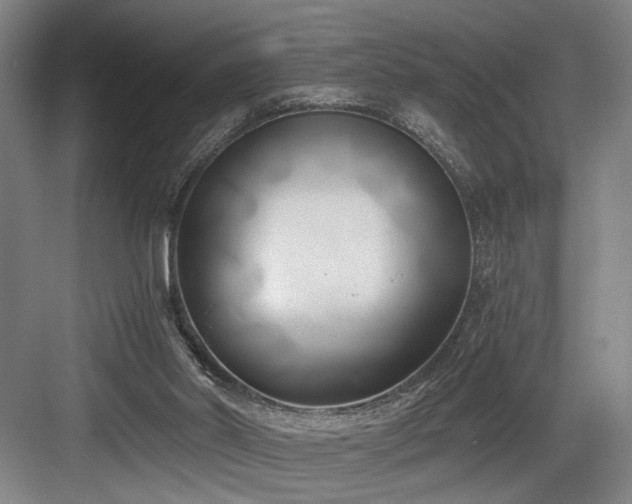 X0000084010014200702161213