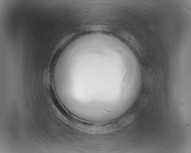 X0000084010016200702161213