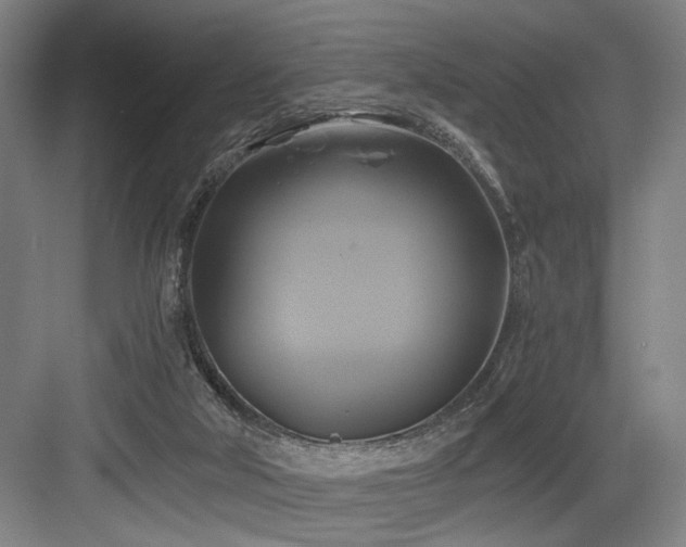 X0000084010018200702161213