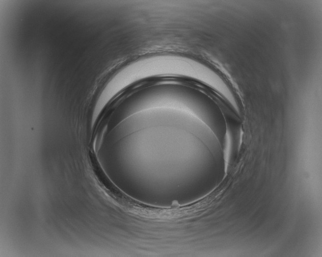 X0000084010019200702161213