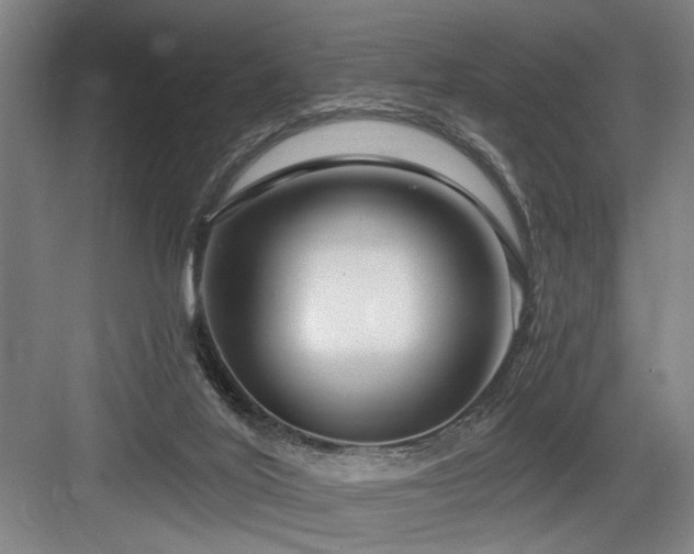X0000084010020200702161213