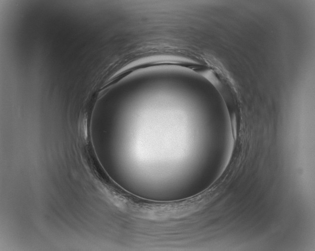 X0000084010021200702161213