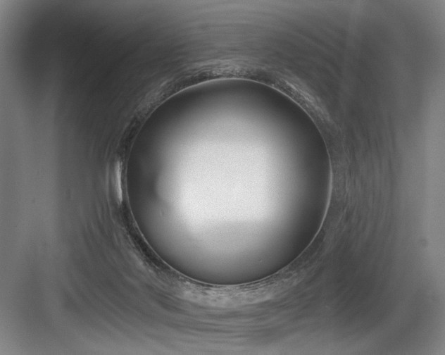 X0000084010022200702161213