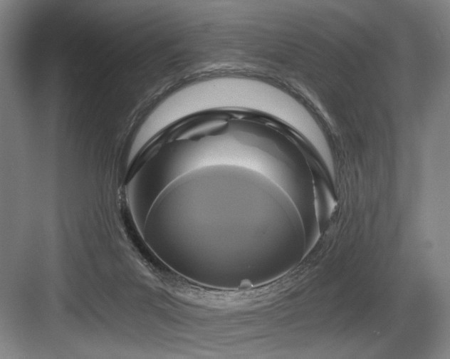 X0000084010023200702161213