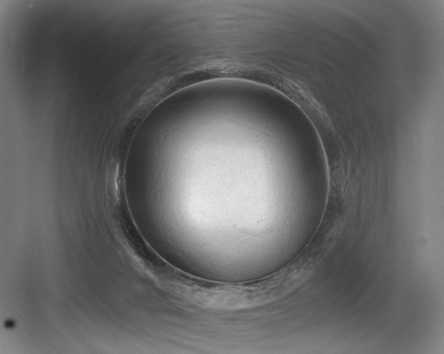 X0000084010024200702161213