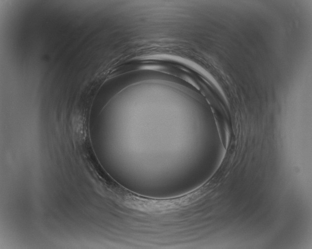 X0000084010031200702161213