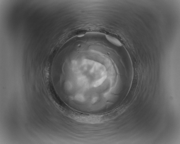 X0000084010032200702161213