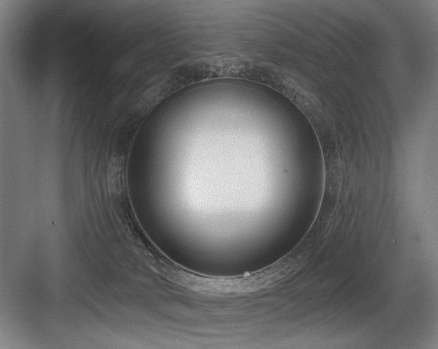 X0000084010034200702161213