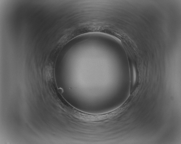 X0000084010035200702161213
