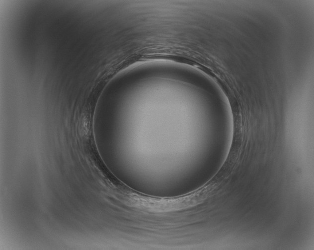 X0000084010039200702161213