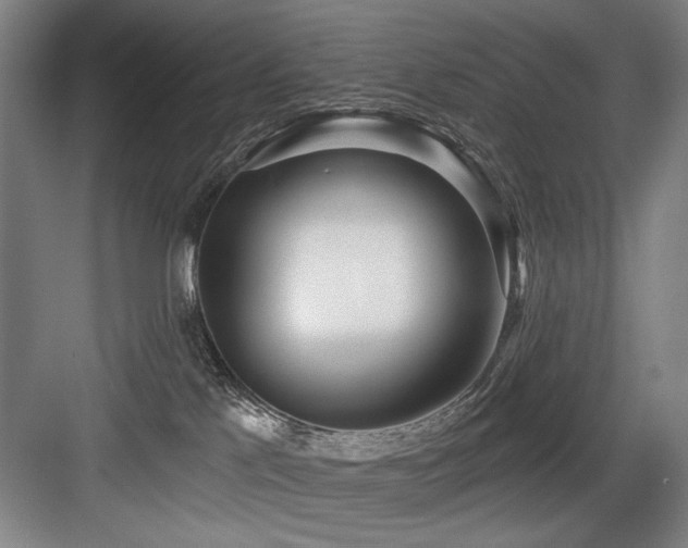 X0000084010041200702161213