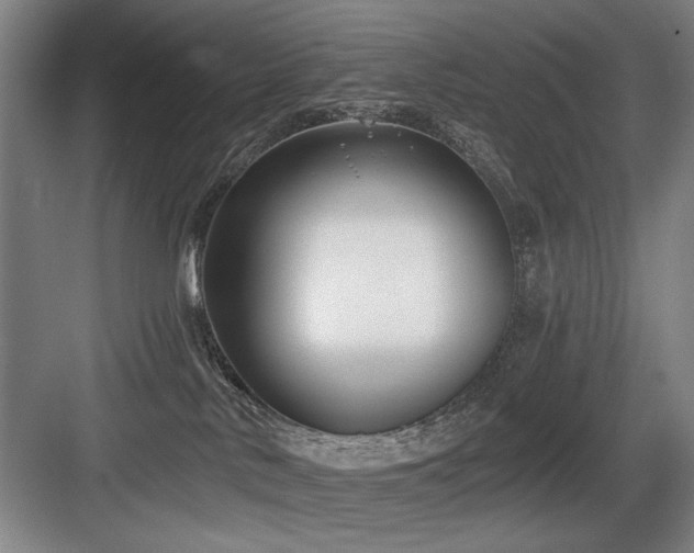 X0000084010042200702161213