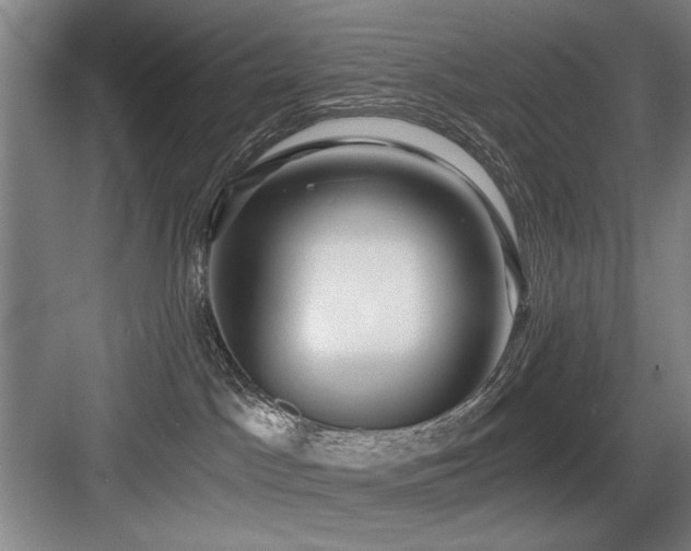 X0000084010045200702161213