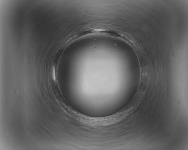 X0000084010046200702161213