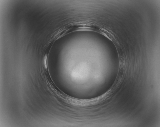 X0000084010047200702161213