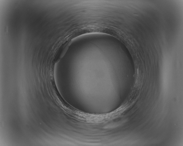 X0000084010048200702161213
