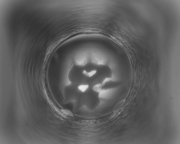 X0000084010049200702161212