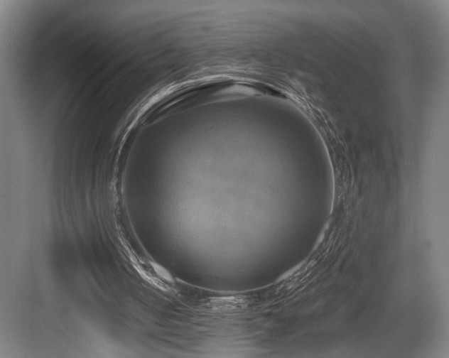 X0000084010050200702161212