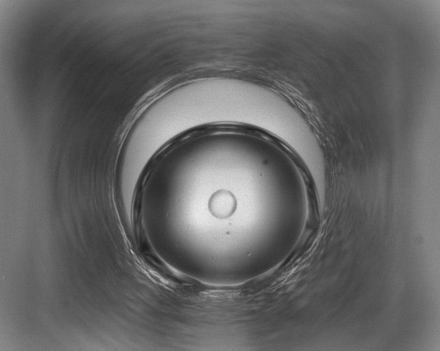 X0000084010051200702161212