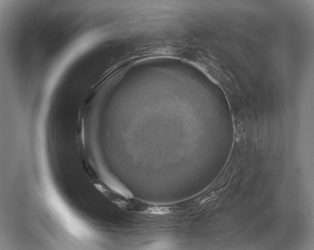 X0000084010052200702161212