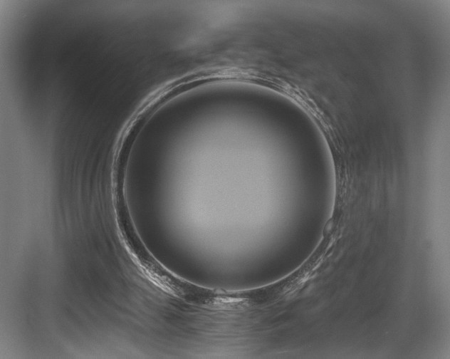 X0000084010055200702161212
