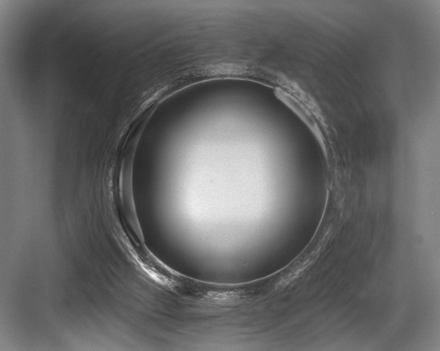 X0000084010057200702161212