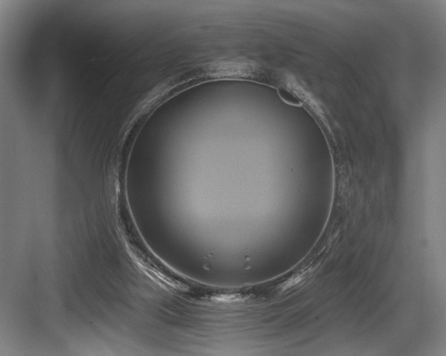 X0000084010059200702161212